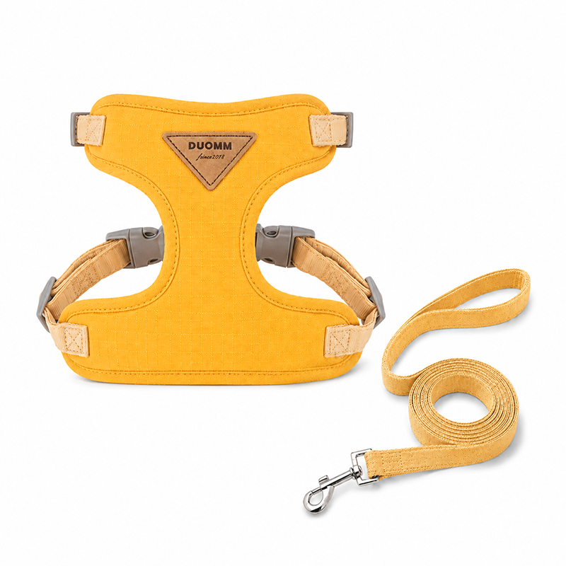 Adjustable Bunny Harness and Leash Set - Soft Vest Small Pet Walking Harness