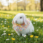 Polka Dot Tulle Bunny Party Bib – Lightweight Ruffle Collar with Yellow Satin Bow for Holland Lops and Small Pets