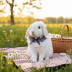Elegant Lace Bunny Bib Collar – Blue Pleated Rabbit Neck Ruffle with Burgundy Bow