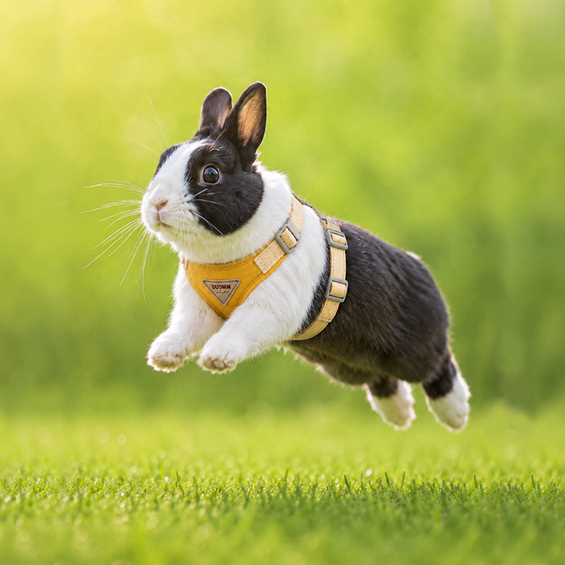 Adjustable Bunny Harness and Leash Set - Soft Vest Small Pet Walking Harness
