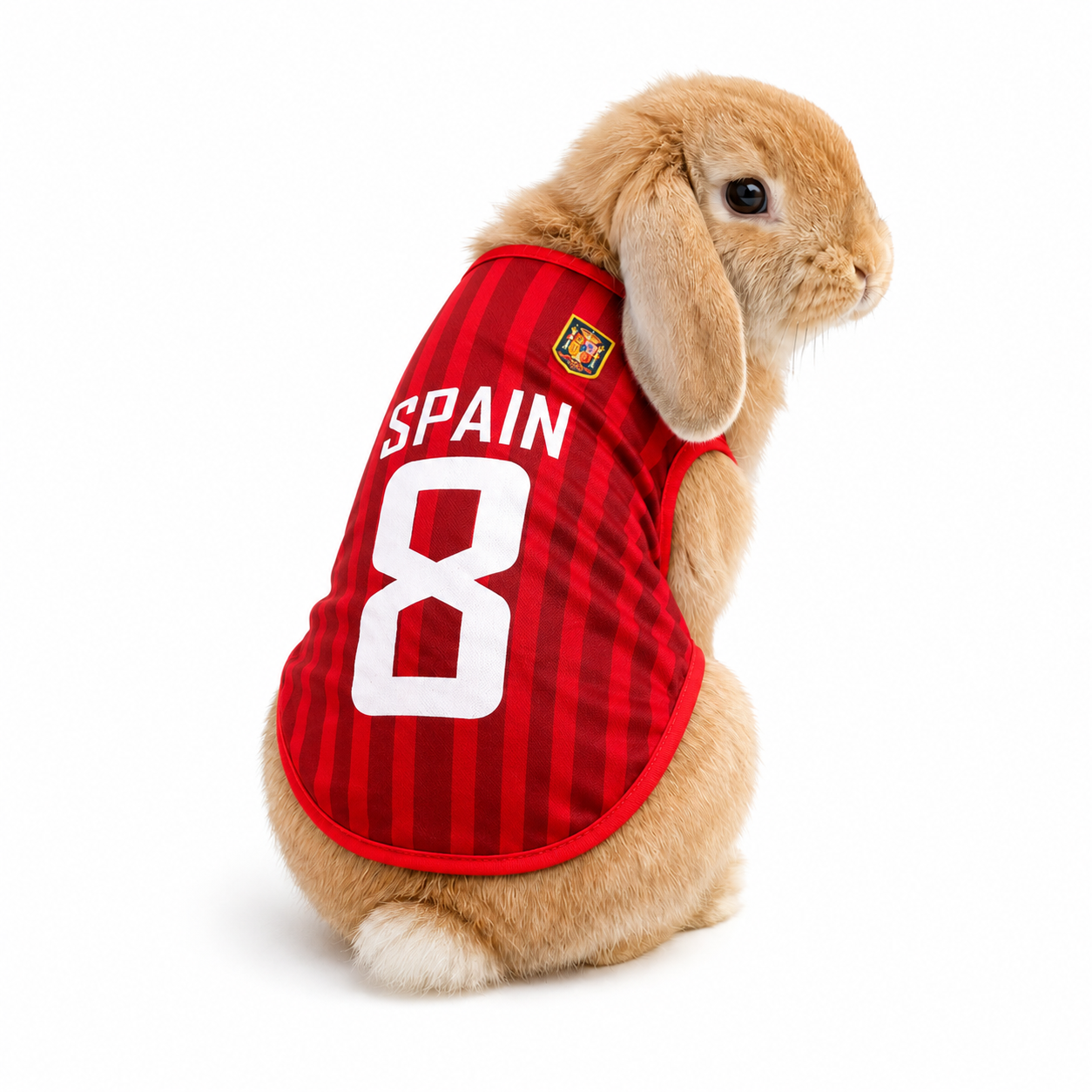 World Cup Rabbit Jersey Outfit  | Extra Small Pet Costume | costume for bunny