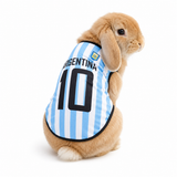 World Cup Rabbit Jersey Outfit  | Extra Small Pet Costume | costume for bunny