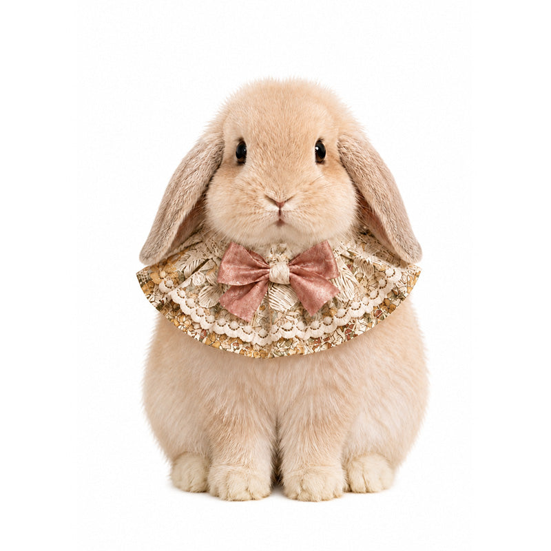 Cottagecore Floral Ruffle Bunny Bib, Lace Bow Pet Collar, Photo Prop Accessories for Rabbit