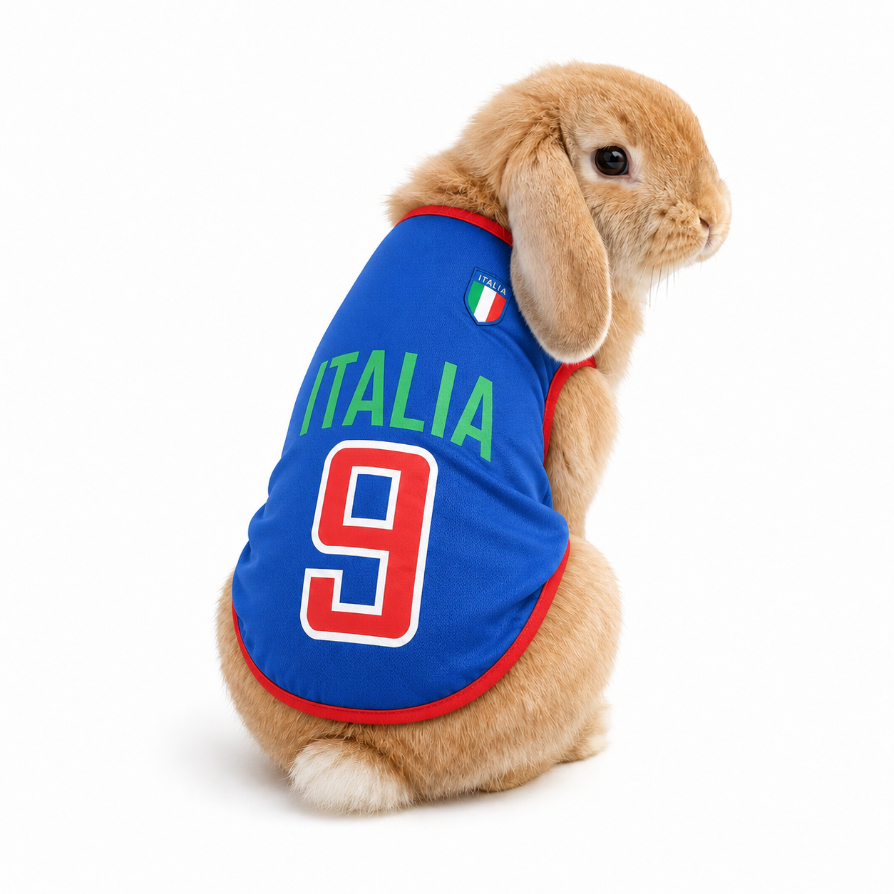 World Cup Rabbit Jersey Outfit  | Extra Small Pet Costume | costume for bunny