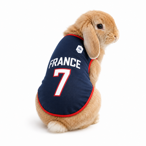 World Cup Rabbit Jersey Outfit  | Extra Small Pet Costume | costume for bunny