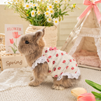 Kawaii Lace Ruffle Rabbit Dress – Soft Cotton Bunny Harness Vest with Heart & Bear Print