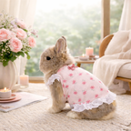 Kawaii Lace Ruffle Rabbit Dress – Soft Cotton Bunny Harness Vest with Heart & Bear Print