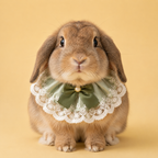 Sage Green Lace Pet Rabbit Bib – Victorian Style Bunny Collar with Bow & Pearl