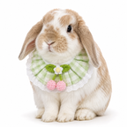 Cherry Blossom Gingham Bunny Bib Collar with Lace Trim – Cute Rabbit Neck Accessory
