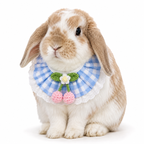 Cherry Blossom Gingham Bunny Bib Collar with Lace Trim – Cute Rabbit Neck Accessory
