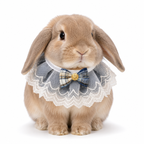 Pet Rabbit Accessory Lace Bib – Fancy Dress Up Collar for Bunnies and Small Pets