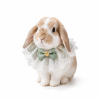 Pet Rabbit Accessory Lace Bib – Fancy Dress Up Collar for Bunnies and Small Pets