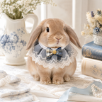 Pet Rabbit Accessory Lace Bib – Fancy Dress Up Collar for Bunnies and Small Pets