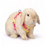 Plush Rabbit Harness & Leash Set