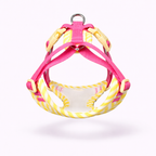 Plush Rabbit Harness & Leash Set