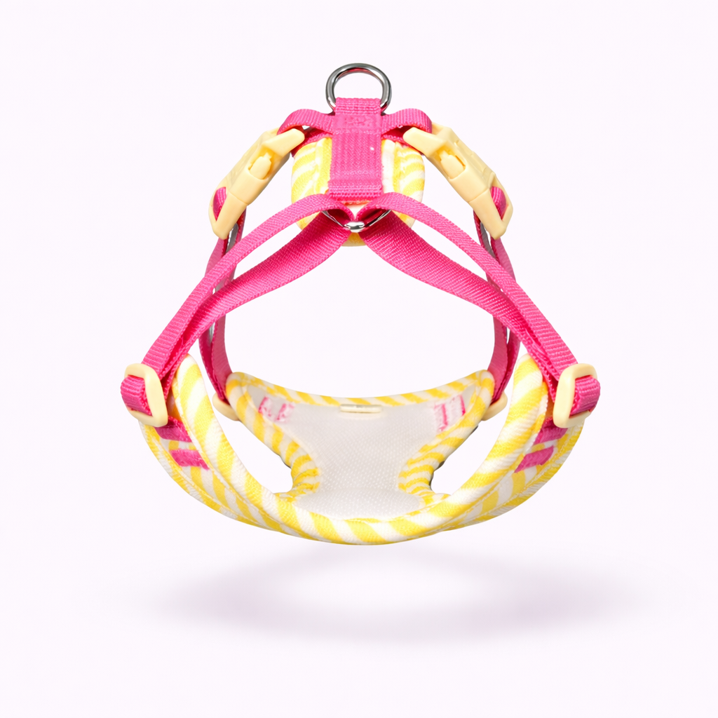 Plush Rabbit Harness & Leash Set