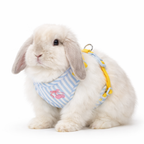 Plush Rabbit Harness & Leash Set