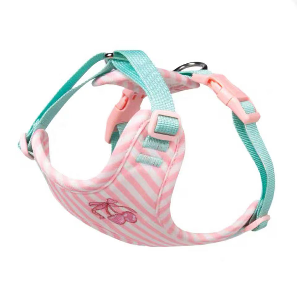 Plush Rabbit Harness & Leash Set