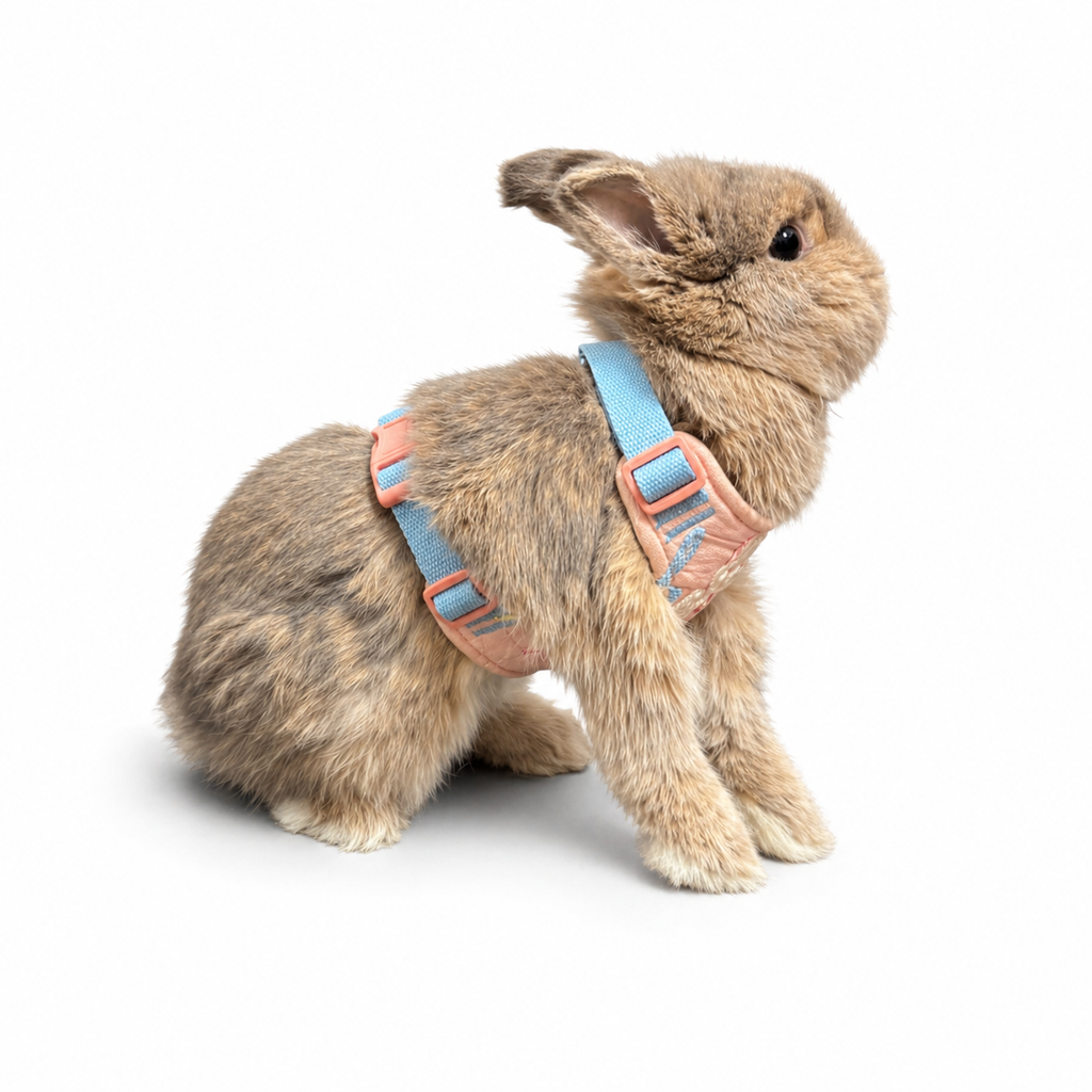 Bunny Harness & Leash Set