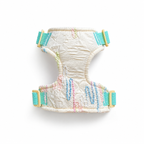 Bunny Harness & Leash Set