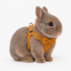 Soft Faux Suede Rabbit Harness Set with Bow | Adjustable Leash for Small Pets