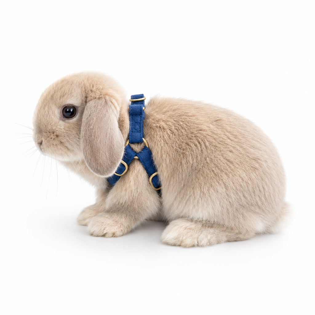 Soft Faux Suede Rabbit Harness Set with Bow | Adjustable Leash for Small Pets