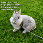 Rabbit Chinchilla Harness & Leash Leather Set