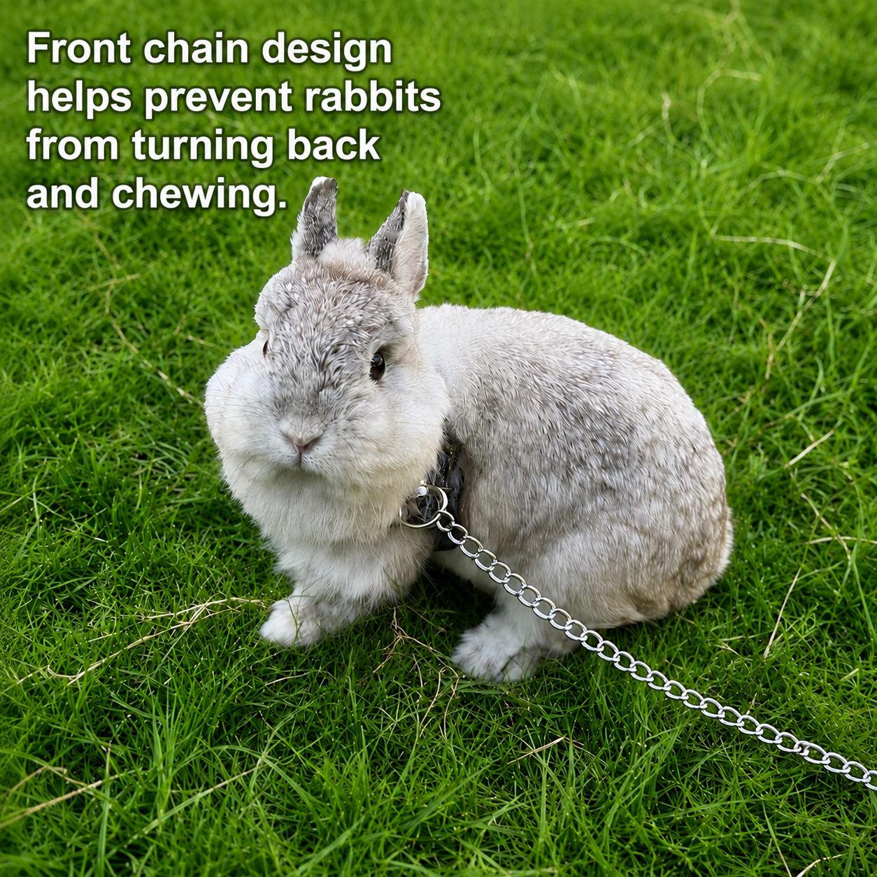 Rabbit Chinchilla Harness & Leash Leather Set