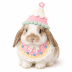 Bunny Bib Keychain Crochet Hat Set