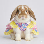 Kawaii Gingham Pet Bunny Dress & Matching Beaded Charm Bracelet Set – Pastel Lolita Style