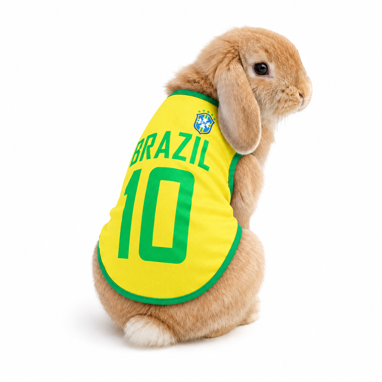 World Cup Rabbit Jersey Outfit  | Extra Small Pet Costume | costume for bunny